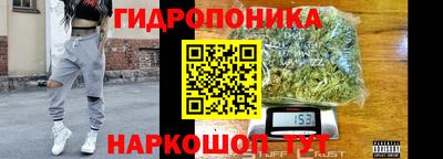 мдпв Нальчик