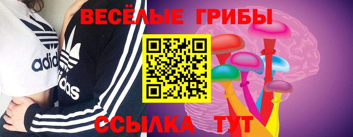 Галлюциногенные грибы прущие грибы  Вход с VPN  Псилоцибиновые грибы мухоморы  Троицк 