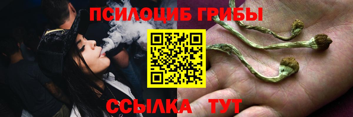 Псилоцибиновые грибы ЛСД Троицк